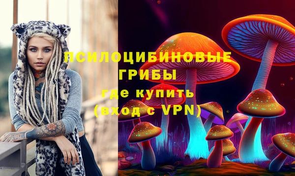 твердый Туринск